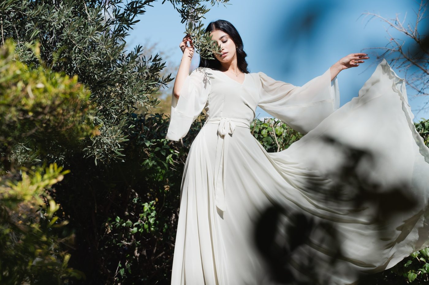 Olive Farms Jebel Sifah — life among the olive trees